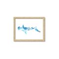 Picture of Blue Splash Shark IV _GroupedProduct_Rectangle_Landscape_Mini_ _GroupedProduct_Rectangle_Landscape_Framed_Matted_