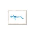 Picture of Blue Splash Shark IV _GroupedProduct_Rectangle_Landscape_Mini_ _GroupedProduct_Rectangle_Landscape_Framed_Matted_