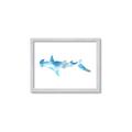 Picture of Blue Splash Shark IV _GroupedProduct_Rectangle_Landscape_Mini_ _GroupedProduct_Rectangle_Landscape_Framed_Matted_