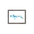 Picture of Blue Splash Shark IV _GroupedProduct_Rectangle_Landscape_Mini_ _GroupedProduct_Rectangle_Landscape_Framed_Matted_