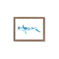 Picture of Blue Splash Shark IV _GroupedProduct_Rectangle_Landscape_Mini_ _GroupedProduct_Rectangle_Landscape_Framed_Matted_