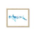 Picture of Blue Splash Shark IV _GroupedProduct_Rectangle_Landscape_Mini_ _GroupedProduct_Rectangle_Landscape_Framed_Matted_