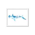 Picture of Blue Splash Shark IV _GroupedProduct_Rectangle_Landscape_Mini_ _GroupedProduct_Rectangle_Landscape_Framed_Matted_