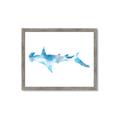 Picture of Blue Splash Shark IV _GroupedProduct_Rectangle_Landscape_Mini_ _GroupedProduct_Rectangle_Landscape_Framed_Matted_