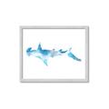 Picture of Blue Splash Shark IV _GroupedProduct_Rectangle_Landscape_Mini_ _GroupedProduct_Rectangle_Landscape_Framed_Matted_