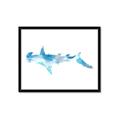 Picture of Blue Splash Shark IV _GroupedProduct_Rectangle_Landscape_Mini_ _GroupedProduct_Rectangle_Landscape_Framed_Matted_