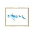 Picture of Blue Splash Shark IV _GroupedProduct_Rectangle_Landscape_Mini_ _GroupedProduct_Rectangle_Landscape_Framed_Matted_