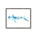 Picture of Blue Splash Shark IV _GroupedProduct_Rectangle_Landscape_Mini_ _GroupedProduct_Rectangle_Landscape_Framed_Matted_