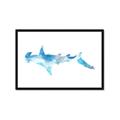 Picture of Blue Splash Shark IV _GroupedProduct_Rectangle_Landscape_Mini_ _GroupedProduct_Rectangle_Landscape_Framed_Matted_