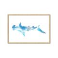 Picture of Blue Splash Shark IV _GroupedProduct_Rectangle_Landscape_Mini_ _GroupedProduct_Rectangle_Landscape_Framed_Matted_