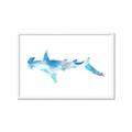 Picture of Blue Splash Shark IV _GroupedProduct_Rectangle_Landscape_Mini_ _GroupedProduct_Rectangle_Landscape_Framed_Matted_