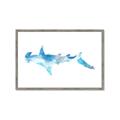 Picture of Blue Splash Shark IV _GroupedProduct_Rectangle_Landscape_Mini_ _GroupedProduct_Rectangle_Landscape_Framed_Matted_