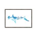 Picture of Blue Splash Shark IV _GroupedProduct_Rectangle_Landscape_Mini_ _GroupedProduct_Rectangle_Landscape_Framed_Matted_