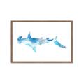 Picture of Blue Splash Shark IV _GroupedProduct_Rectangle_Landscape_Mini_ _GroupedProduct_Rectangle_Landscape_Framed_Matted_