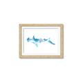Picture of Blue Splash Shark IV _GroupedProduct_Rectangle_Landscape_Mini_ _GroupedProduct_Rectangle_Landscape_Framed_Matted_