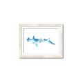 Picture of Blue Splash Shark IV _GroupedProduct_Rectangle_Landscape_Mini_ _GroupedProduct_Rectangle_Landscape_Framed_Matted_