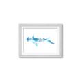 Picture of Blue Splash Shark IV _GroupedProduct_Rectangle_Landscape_Mini_ _GroupedProduct_Rectangle_Landscape_Framed_Matted_