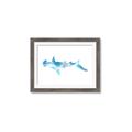 Picture of Blue Splash Shark IV _GroupedProduct_Rectangle_Landscape_Mini_ _GroupedProduct_Rectangle_Landscape_Framed_Matted_
