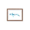 Picture of Blue Splash Shark IV _GroupedProduct_Rectangle_Landscape_Mini_ _GroupedProduct_Rectangle_Landscape_Framed_Matted_