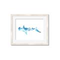 Picture of Blue Splash Shark IV _GroupedProduct_Rectangle_Landscape_Mini_ _GroupedProduct_Rectangle_Landscape_Framed_Matted_