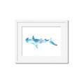Picture of Blue Splash Shark IV _GroupedProduct_Rectangle_Landscape_Mini_ _GroupedProduct_Rectangle_Landscape_Framed_Matted_