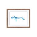 Picture of Blue Splash Shark IV _GroupedProduct_Rectangle_Landscape_Mini_ _GroupedProduct_Rectangle_Landscape_Framed_Matted_