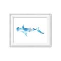 Picture of Blue Splash Shark IV _GroupedProduct_Rectangle_Landscape_Mini_ _GroupedProduct_Rectangle_Landscape_Framed_Matted_