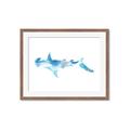 Picture of Blue Splash Shark IV _GroupedProduct_Rectangle_Landscape_Mini_ _GroupedProduct_Rectangle_Landscape_Framed_Matted_