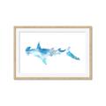 Picture of Blue Splash Shark IV _GroupedProduct_Rectangle_Landscape_Mini_ _GroupedProduct_Rectangle_Landscape_Framed_Matted_