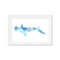 Picture of Blue Splash Shark IV _GroupedProduct_Rectangle_Landscape_Mini_ _GroupedProduct_Rectangle_Landscape_Framed_Matted_