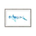 Picture of Blue Splash Shark IV _GroupedProduct_Rectangle_Landscape_Mini_ _GroupedProduct_Rectangle_Landscape_Framed_Matted_