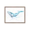 Picture of Blue Whale Friend  _GroupedProduct_Rectangle_Landscape_Mini_ _GroupedProduct_Rectangle_Landscape_Framed_Matted_