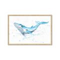 Picture of Blue Whale Friend  _GroupedProduct_Rectangle_Landscape_Mini_ _GroupedProduct_Rectangle_Landscape_Framed_Matted_
