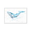 Picture of Blue Whale Friend  _GroupedProduct_Rectangle_Landscape_Mini_ _GroupedProduct_Rectangle_Landscape_Framed_Matted_