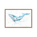 Picture of Blue Whale Friend  _GroupedProduct_Rectangle_Landscape_Mini_ _GroupedProduct_Rectangle_Landscape_Framed_Matted_