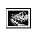 Picture of Pairs of Hockey Skates _GroupedProduct_Rectangle_Landscape_Mini_ _GroupedProduct_Rectangle_Landscape_Framed_Matted_