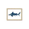 Picture of Shark Attack II  _GroupedProduct_Rectangle_Landscape_Mini_ _GroupedProduct_Rectangle_Landscape_Framed_Matted_