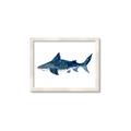 Picture of Shark Attack II  _GroupedProduct_Rectangle_Landscape_Mini_ _GroupedProduct_Rectangle_Landscape_Framed_Matted_