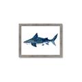 Picture of Shark Attack II  _GroupedProduct_Rectangle_Landscape_Mini_ _GroupedProduct_Rectangle_Landscape_Framed_Matted_