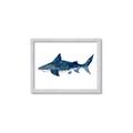 Picture of Shark Attack II  _GroupedProduct_Rectangle_Landscape_Mini_ _GroupedProduct_Rectangle_Landscape_Framed_Matted_