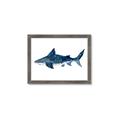 Picture of Shark Attack II  _GroupedProduct_Rectangle_Landscape_Mini_ _GroupedProduct_Rectangle_Landscape_Framed_Matted_