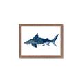 Picture of Shark Attack II  _GroupedProduct_Rectangle_Landscape_Mini_ _GroupedProduct_Rectangle_Landscape_Framed_Matted_