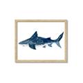 Picture of Shark Attack II  _GroupedProduct_Rectangle_Landscape_Mini_ _GroupedProduct_Rectangle_Landscape_Framed_Matted_