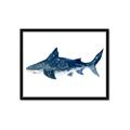 Picture of Shark Attack II  _GroupedProduct_Rectangle_Landscape_Mini_ _GroupedProduct_Rectangle_Landscape_Framed_Matted_