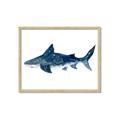 Picture of Shark Attack II  _GroupedProduct_Rectangle_Landscape_Mini_ _GroupedProduct_Rectangle_Landscape_Framed_Matted_