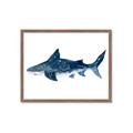 Picture of Shark Attack II  _GroupedProduct_Rectangle_Landscape_Mini_ _GroupedProduct_Rectangle_Landscape_Framed_Matted_