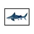 Picture of Shark Attack II  _GroupedProduct_Rectangle_Landscape_Mini_ _GroupedProduct_Rectangle_Landscape_Framed_Matted_