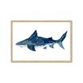 Picture of Shark Attack II  _GroupedProduct_Rectangle_Landscape_Mini_ _GroupedProduct_Rectangle_Landscape_Framed_Matted_