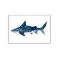 Picture of Shark Attack II  _GroupedProduct_Rectangle_Landscape_Mini_ _GroupedProduct_Rectangle_Landscape_Framed_Matted_