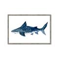 Picture of Shark Attack II  _GroupedProduct_Rectangle_Landscape_Mini_ _GroupedProduct_Rectangle_Landscape_Framed_Matted_